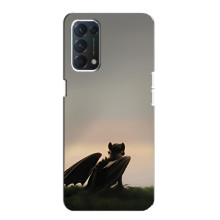 Чехол как приручить дракона на Oppo F19 (Беззубик)