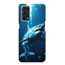Чехол с картинкой «Хищники» для Oppo F19 – Акула