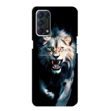 Чехол с картинкой «Хищники» для Oppo F19 – Лев