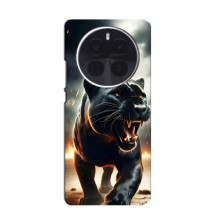 Чехол с картинкой «Хищники» для OPPO F31 Pro Plus – Пантера