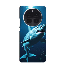 Чехол с картинкой «Хищники» для OPPO F31 Pro – Акула