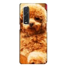 Чехлы с собаками для Oppo Find X2 (VPrint) (Щенок Бишон)