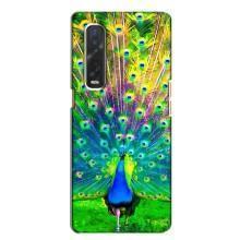 Чехол с птицами на Oppo Find X2 (VPrint) (Яркий Павлин)