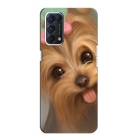 Чехол (ТПУ) Милые собачки для Oppo Find X3 Lite – Йоршенский терьер