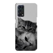 Чехол с рисунком кот на Oppo Find X3 Lite – Пара котов