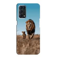 Чохол Король лев на OPPO Знайти ХЗ Лайт – Мусафа і Сімба