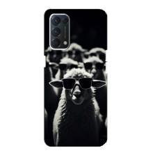 Чехол с принтом стильные животные для Оппо Финд х3 Лайт – Овечка в очках