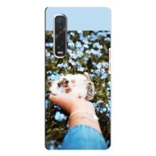 Чехлы с изображением разных животных для Oppo Find X3 Pro (Ежик на руках)