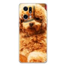 Чохли з собаками для OPPO Find X5 Pro (VPrint) (Цуценя Бішон)