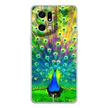 Чохол з пташками на OPPO Find X5 Pro (VPrint) (Яскравий Павлин)