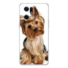 Чехол (ТПУ) Милые собачки для OPPO Find X5 Pro – Собака Терьер