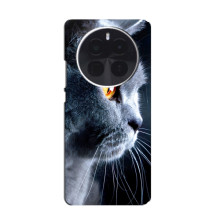 Чохол із милими котиками на ОРО Find X8 Про – Британський кіт