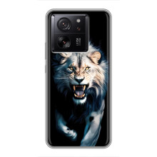 Чохол з картинкою 'Хижаки' для OPPO K13s – Лев