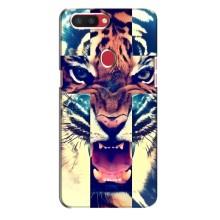 Чехлы с изображением разных животных для Oppo R11s (Яркий Тигр)