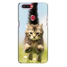 Чехлы с Котиками для Oppo R11s (VPrint) (Прыжок кота)