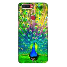 Чехол с птицами на Oppo R11s (VPrint) (Яркий Павлин)