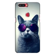 Чехол с милыми котиками на Оппо Рено Р11с (Стильный кот)