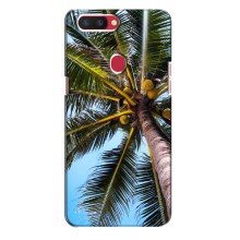 Силиконовый чехол с КАРТИНКАМИ лето для Oppo R11s (AlphaPrint) (Пальма)