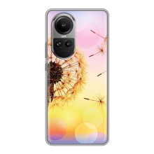 Чохол з картинкою (Стильні) OPPO Reno 10 Pro (КИТАЙ) - (AlphaPrint) – Кульбабка