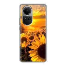 Чехол с Цветами для Oppo Reno 10 Pro (поле подсолнухов)