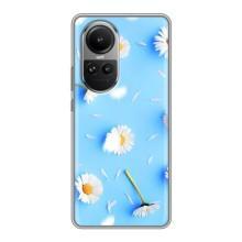 Чехол с Цветами для Oppo Reno 10 Pro (ромашки на голубом)