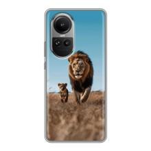 Чохол Король лев на OPPO Reno 10 Про – Мусафа і Сімба