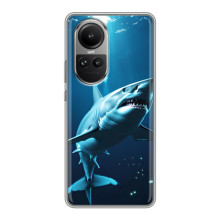 Чохол з картинкою 'Хижаки' для Oppo Reno 10 Pro – Акула
