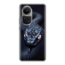 Чохол з картинкою 'Хижаки' для Oppo Reno 10 Pro – Змія