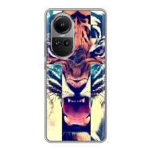 Чохли з зображенням різних тварин на Oppo Reno 10 (Яскравий Тигр)