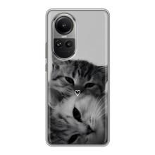 Чехол с рисунком кот на Oppo Reno 10 – Пара котов