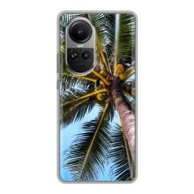 Силіконовий чохол з КАРТИНКАМИ літо для Oppo Reno 10 (AlphaPrint) (Пальма)