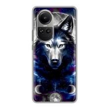 Захисні чохли для ОППÓ Рéно 10 (AlphaPrint) (ХІТ продаж) ВОВК (Вовк)