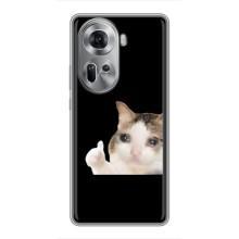 Бампер з принтом Меми для Oppo Reno 11 5G – Кіт у сльозах