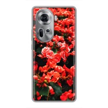 Чехлы с Цветами для Oppo Reno 11 5G (VPrint) (Цветы красные)