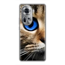 Чехлы с Котиками для Oppo Reno 11 5G (VPrint) – Глаз кота