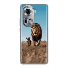 Чехол Король лев на Оппо Рено 11 5G – Мусафа и Симба