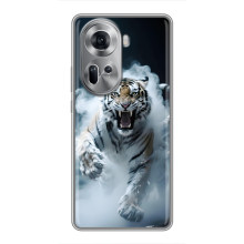 Чохол з картинкою 'Хижаки' для Oppo Reno 11 5G (Тигр)