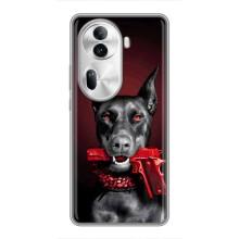 Чехол ДОБЕРМАН для Oppo Reno 11 Pro 5G – Доберман злой