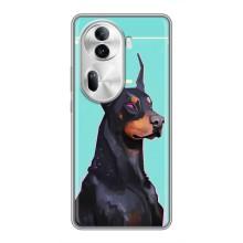 Чехол ДОБЕРМАН для Oppo Reno 11 Pro 5G – Король доберман