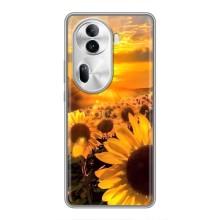 Чехол с Цветами для Oppo Reno 11 Pro 5G (поле подсолнухов)