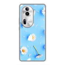 Чехол с Цветами для Oppo Reno 11 Pro 5G (ромашки на голубом)