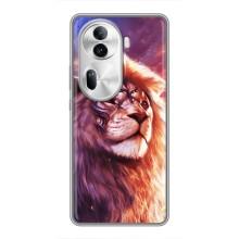 Чехол с картинкой на Oppo Reno 11 Pro 5G – Красочный ЛЕВ