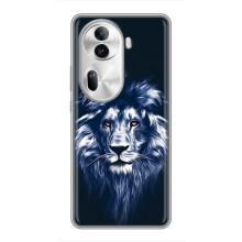 Чехол с картинкой на Oppo Reno 11 Pro 5G – Лев - синий