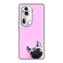 Бампер для Oppo Reno 11 Pro 5G с картинкой "Песики" (Собака на розовом)