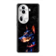 Бампер для Oppo Reno 11 Pro 5G с картинкой "Песики" (Собака Мопс)