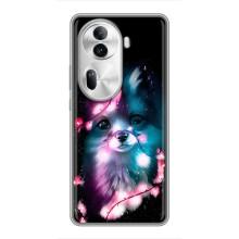 Чохол з Лисичкою для Oppo Reno 11 Pro 5G – Чорна лисиця
