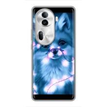 Чохол з Лисичкою для Oppo Reno 11 Pro 5G – Яскрава Лисиця