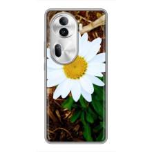 Чехол с ромашками на Oppo Reno 11 Pro 5G – Белая ромашка