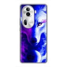 Чехол с Волком на Oppo Reno 11 Pro 5G – Арт-Волк