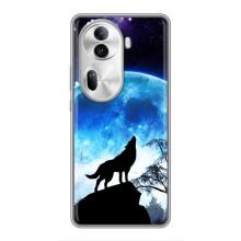 Чехол с Волком на Oppo Reno 11 Pro 5G – Воет на луну